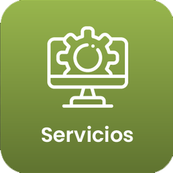 Servicios